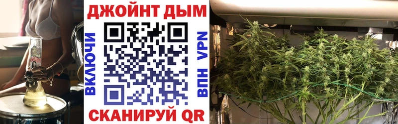 кракен рабочий сайт  что такое наркотик  Сураж  Шишки марихуана тримм 